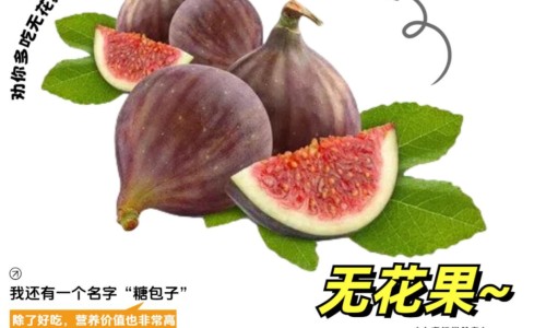 脚凉出汗肚子疼发烧网-分享脚冷肚子凉闹肚子，肚子冰凉脚却发热知识库